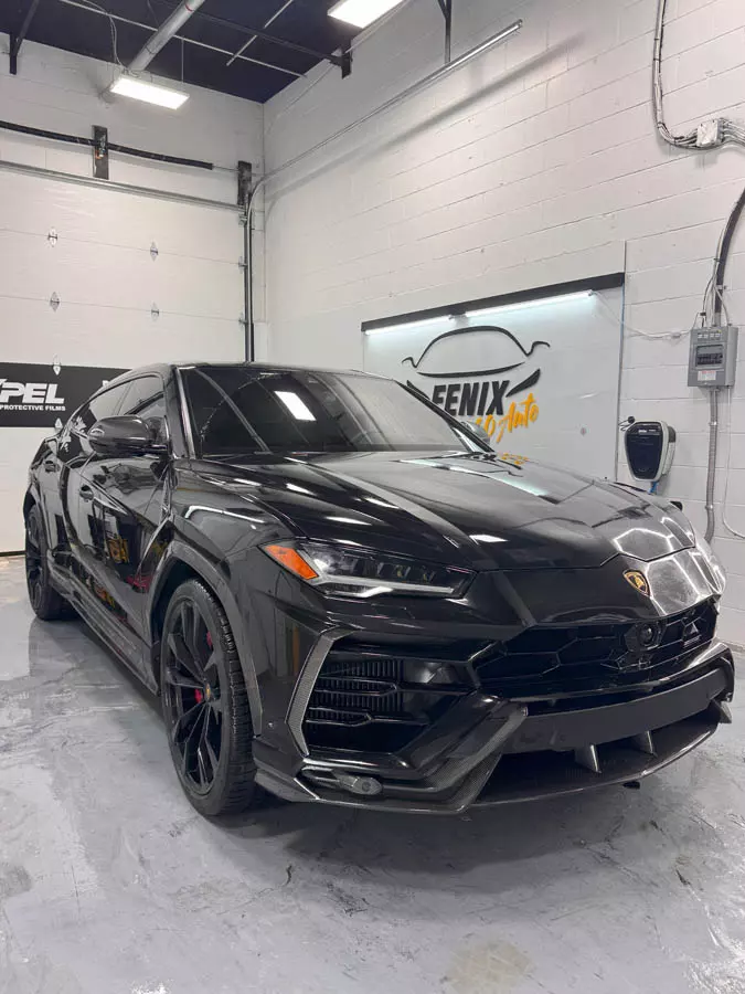 Paint protection film close-up on vehicle body panel